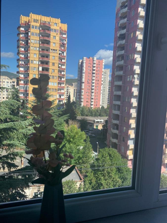 Apartments Of Gregoryan Τυφλίδα Εξωτερικό φωτογραφία